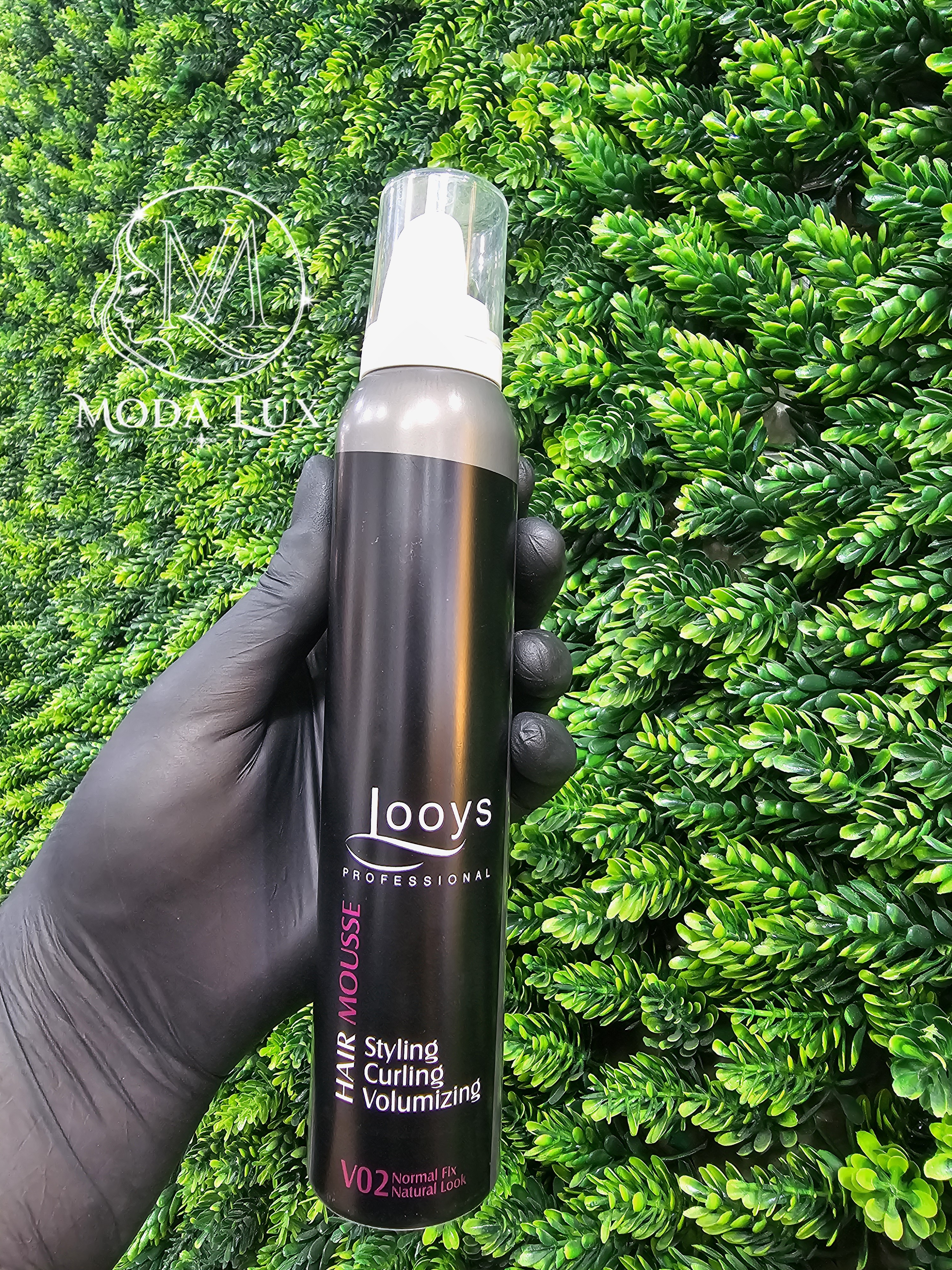 موس مو لویز Looys
